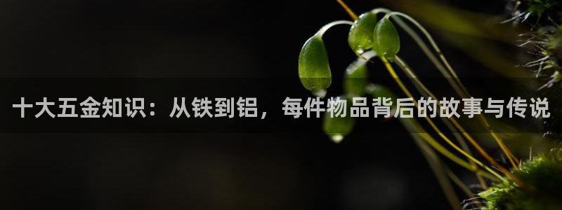 云顶国际黑网不出款怎么办