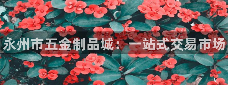 云顶国际足球app下载