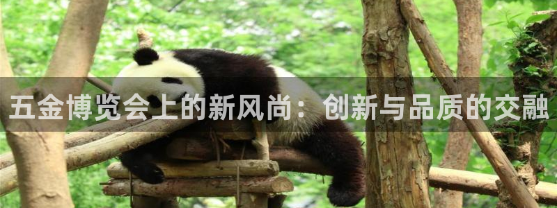 云顶国际服和端游互通吗