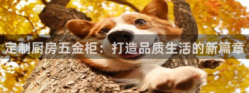 云顶国际装饰设计公司