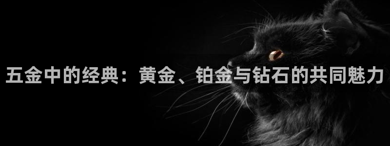 云顶集团大少爷是谁