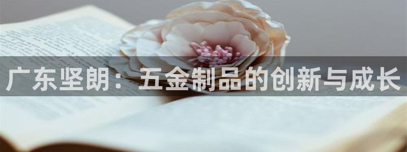 云顶国际创始人是谁啊