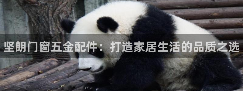 云顶国际装饰设计