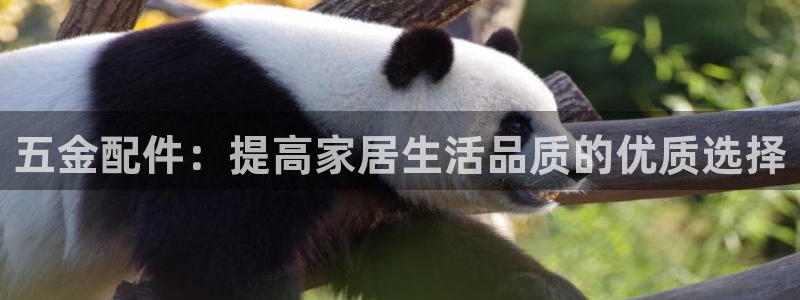 云顶平台网址