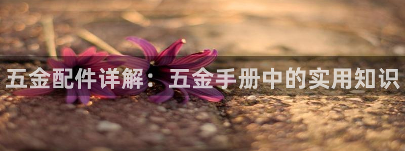 云顶国际app官方网站