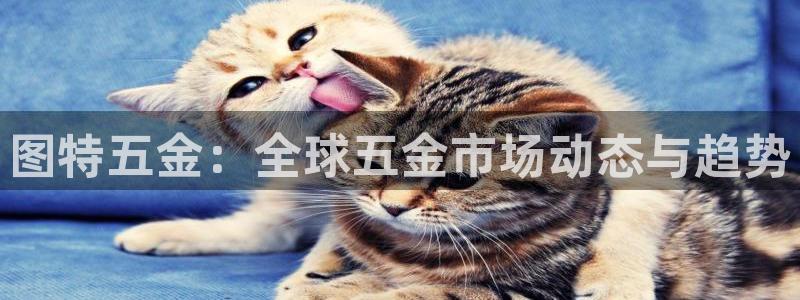 云顶国际游戏平台官网