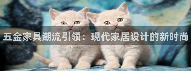 云顶手游国际版