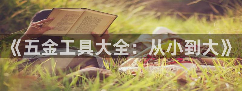 云顶国际服是哪个服